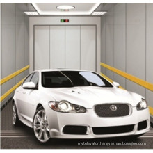 Electric Home Indoor Residential Garage Car Elevator